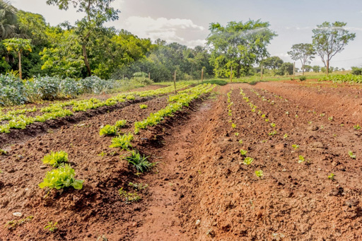 Casa Térrea com 4 quartos para venda ou Locação na Reserva da Coroa no Condomínio Portal do Sol Green em Goiânia - Foto