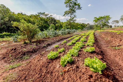 Casa Térrea com 4 quartos para venda ou Locação na Reserva da Coroa no Condomínio Portal do Sol Green em Goiânia - Foto