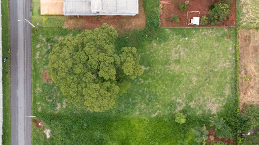 Terreno com 2010m2 à venda no Condomínio Estância do Bosque, Santo Antônio de Goiás, GO - Revenda