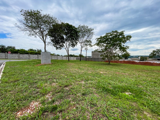 Foto cadastro cód. 16