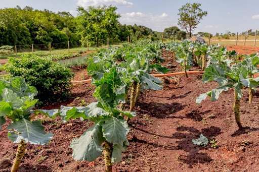 Casa 4 suítes a venda no condomínio fechado Portal do Sol Green em Goiânia. - Foto