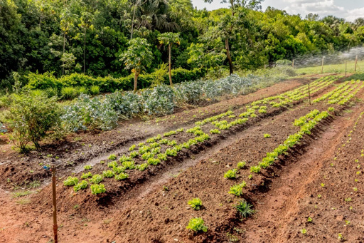 Casa 4 suítes a venda no condomínio fechado Portal do Sol Green em Goiânia. - Foto