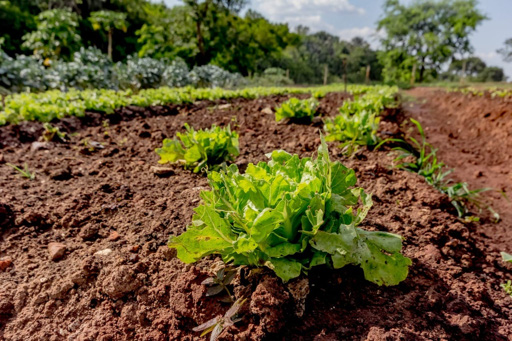 Casa 4 suítes a venda no condomínio fechado Portal do Sol Green em Goiânia. - Foto
