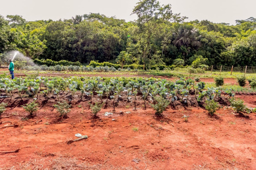 Casa 4 suítes a venda no condomínio fechado Portal do Sol Green em Goiânia. - Foto