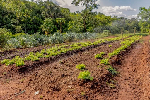 Casa 4 suítes a venda no condomínio fechado Portal do Sol Green em Goiânia. - Foto