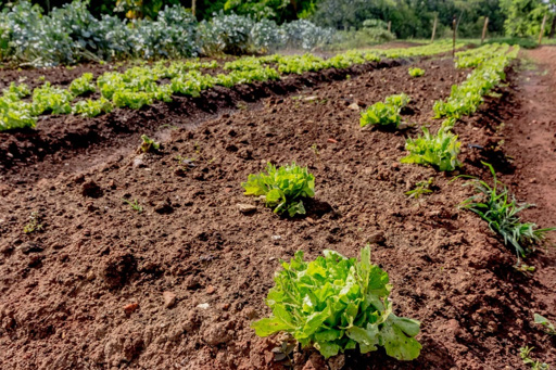 Casa 4 suítes a venda no condomínio fechado Portal do Sol Green em Goiânia. - Foto