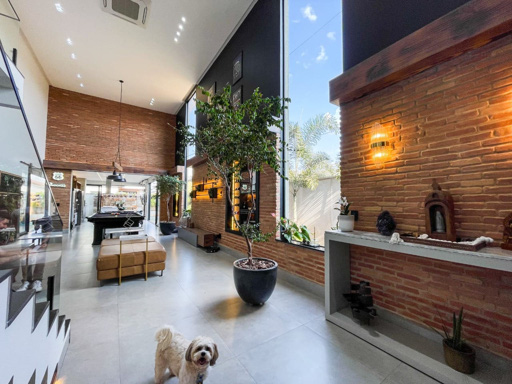 Foto cadastro cód. 37