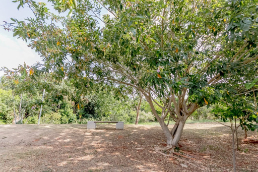 Lote de 658 m² no Portal do Sol Green ao lado do Goiânia Golfe Clube - Foto