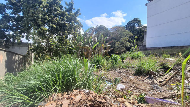 Foto cadastro cód. 1416