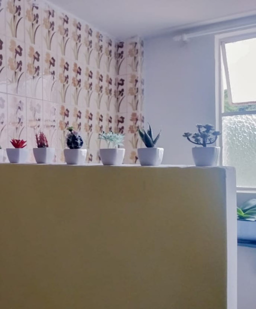 Foto cadastro cód. 503