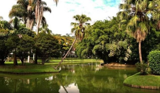 Foto cadastro cód. 549