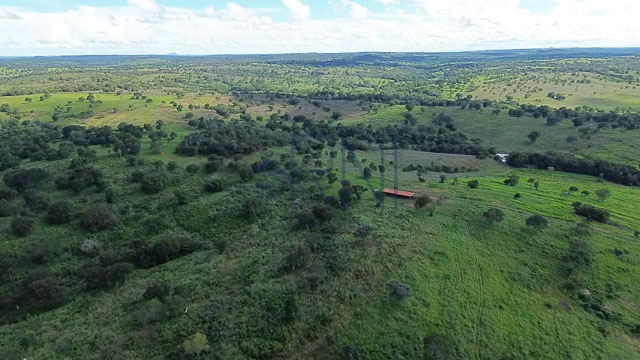 Foto cadastro cód. 2626