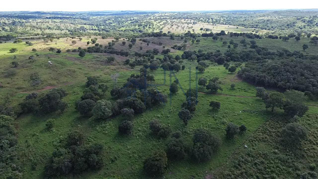 Foto cadastro cód. 2626