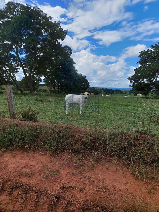 Foto cadastro cód. 2626