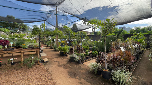 Foto cadastro cód. 2772