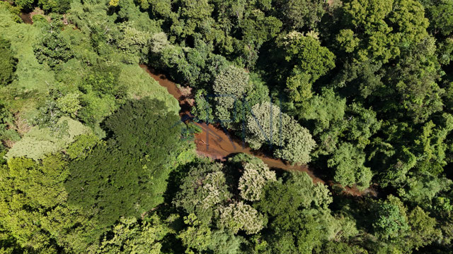 Foto cadastro cód. 2806