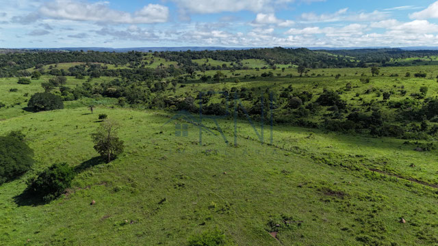 Foto cadastro cód. 2806