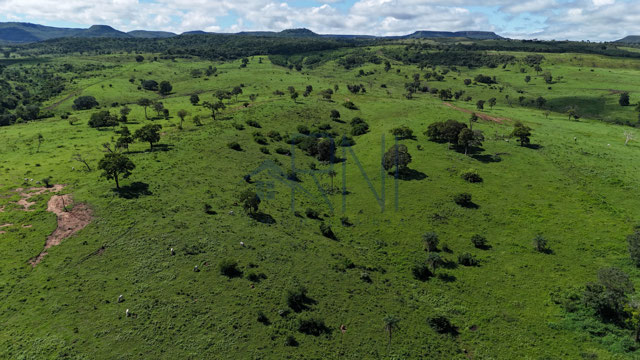 Foto cadastro cód. 2806