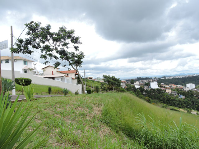 Foto cadastro cód. 2015