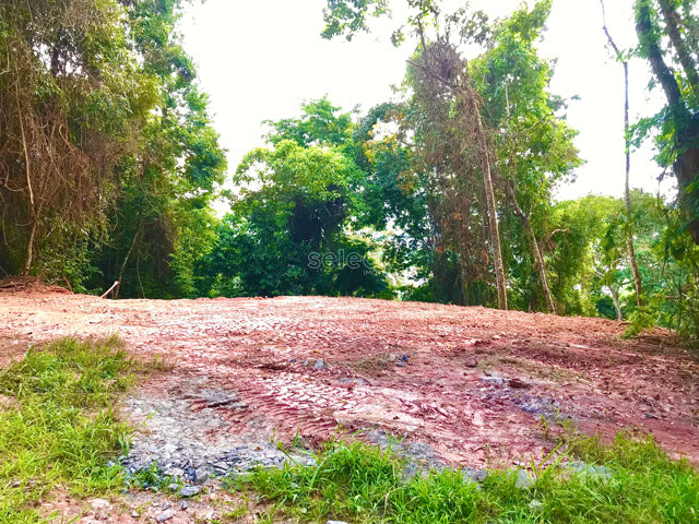 Foto cadastro cód. 2967