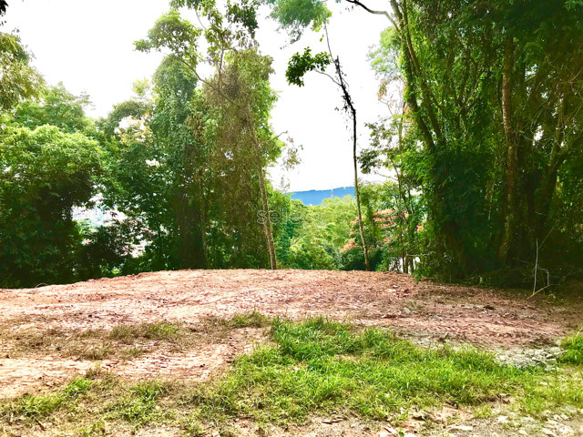 Foto cadastro cód. 2967