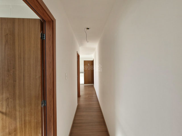 Coluna 4