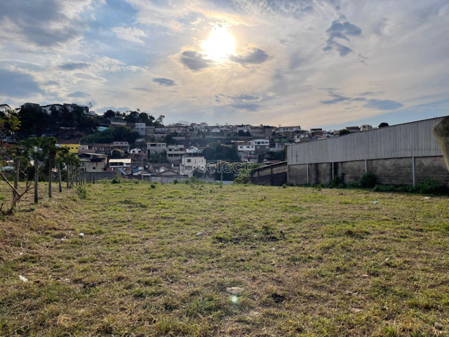 Foto cadastro cód. 3372