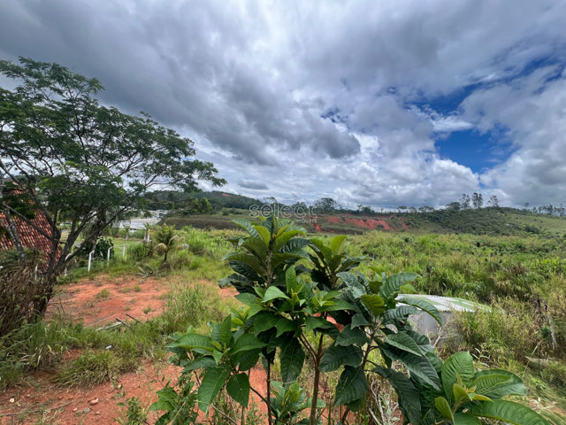 Foto cadastro cód. 3516