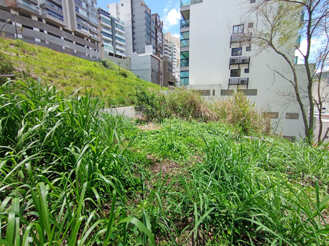 Foto cadastro cód. 3552