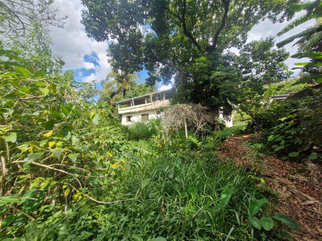 Foto cadastro cód. 3583