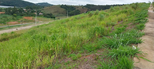 Foto cadastro cód. 3605