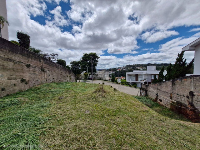 Foto cadastro cód. 3779