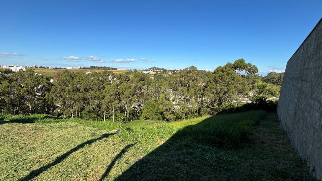 Foto cadastro cód. 3819