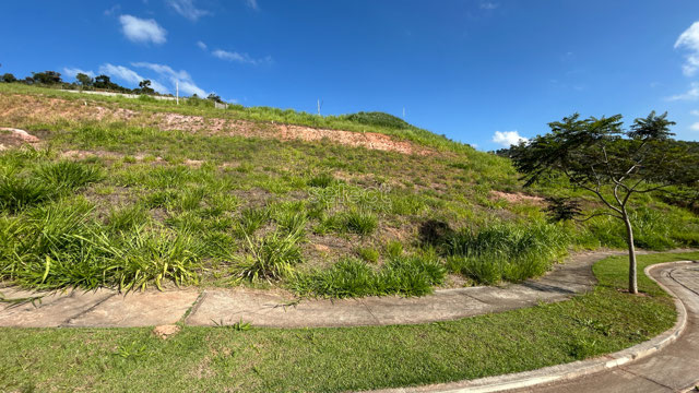 Foto cadastro cód. 3831