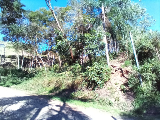 Foto cadastro cód. 414