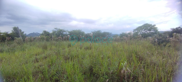 Foto cadastro cód. 860