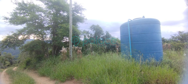 Foto cadastro cód. 860