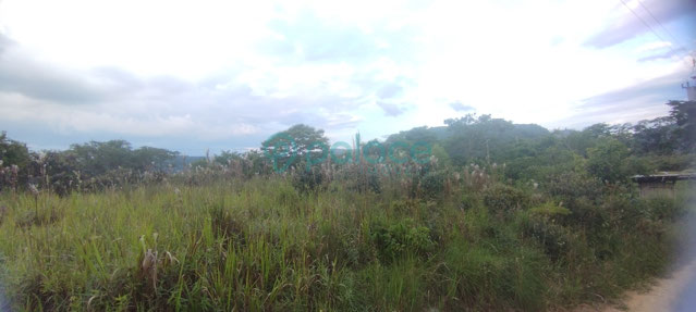 Foto cadastro cód. 860