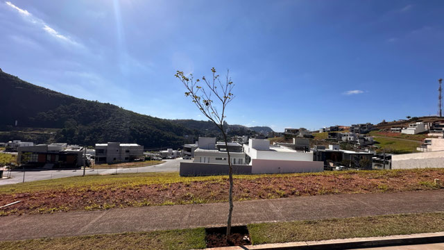 Foto cadastro cód. 111
