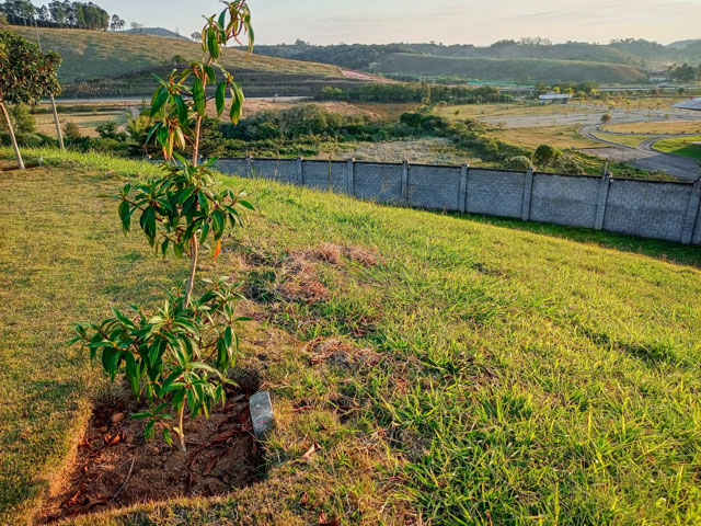Foto cadastro cód. 172