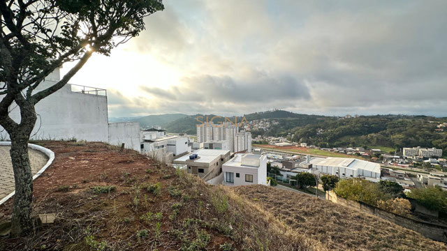 Foto cadastro cód. 231