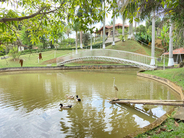 Foto cadastro cód. 262