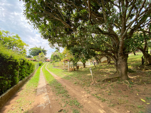 Foto cadastro cód. 262