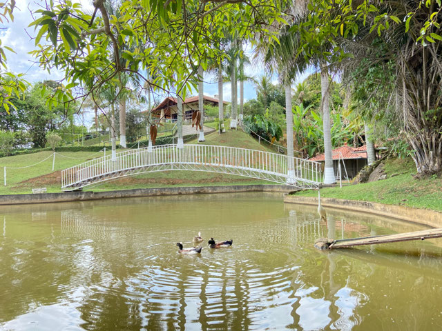 Foto cadastro cód. 262