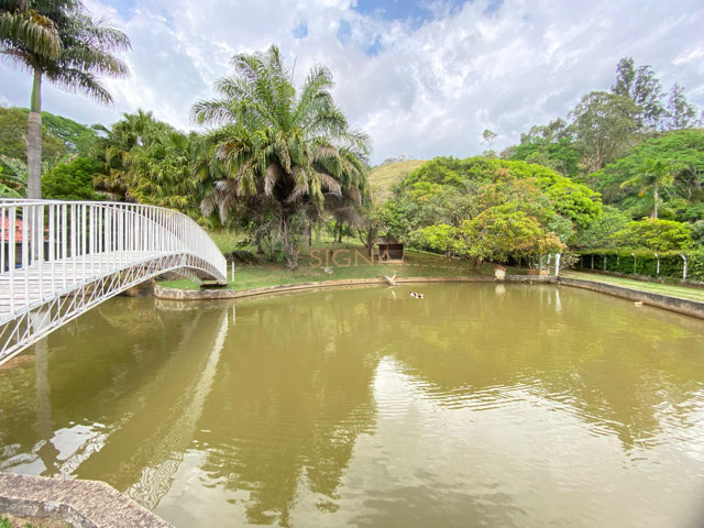 Foto cadastro cód. 262