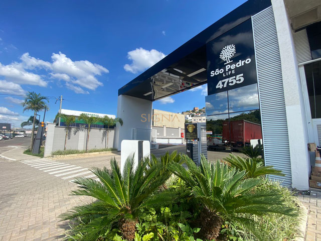 Foto cadastro cód. 313