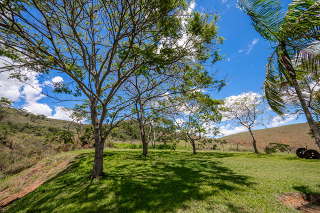 Foto cadastro cód. 349