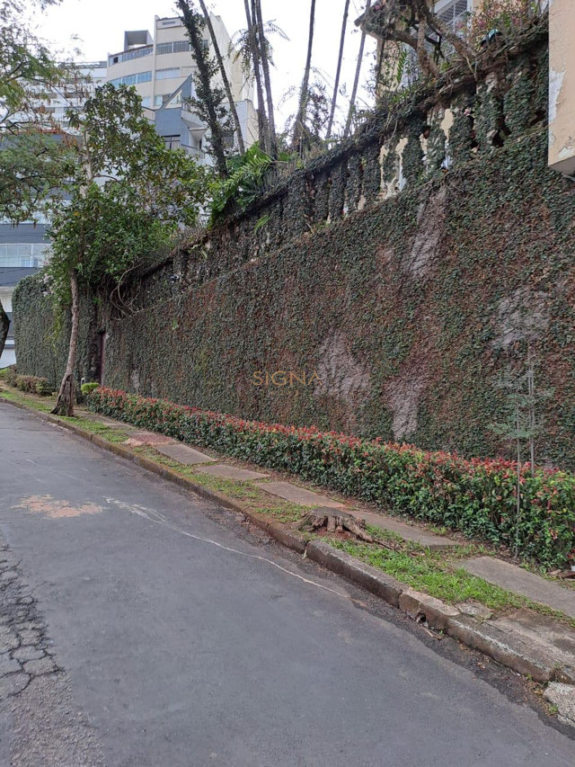 Foto cadastro cód. 402