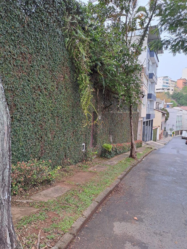 Foto cadastro cód. 402