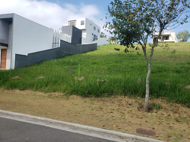 Terreno